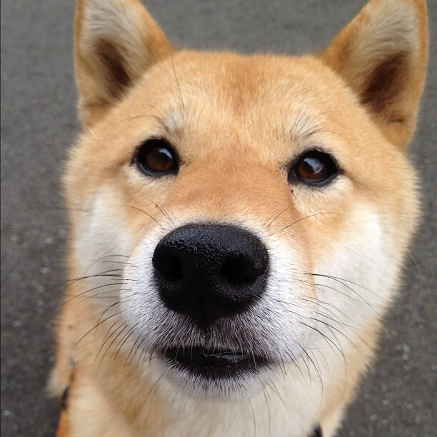 爱游戏体育在线app-_体育与科技融合创新展：未来运动无限可能_，科技与体育结合的例子