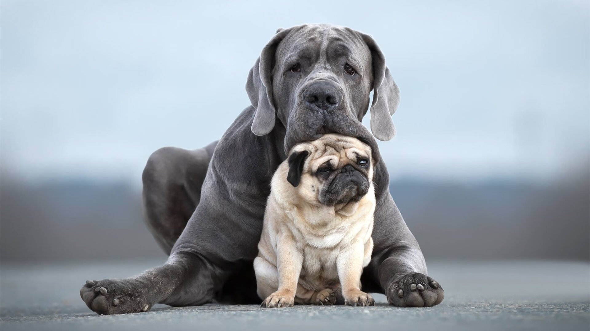 爱游戏中国电竞-_快船队紧追联盟前列，战斗精神爆发_，快船队的比赛