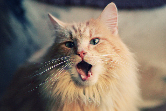 爱游戏体育网页版-_环湖骑行嘉年华：畅享自然风光与速度_，热烈庆祝建党100周年环湖骑行