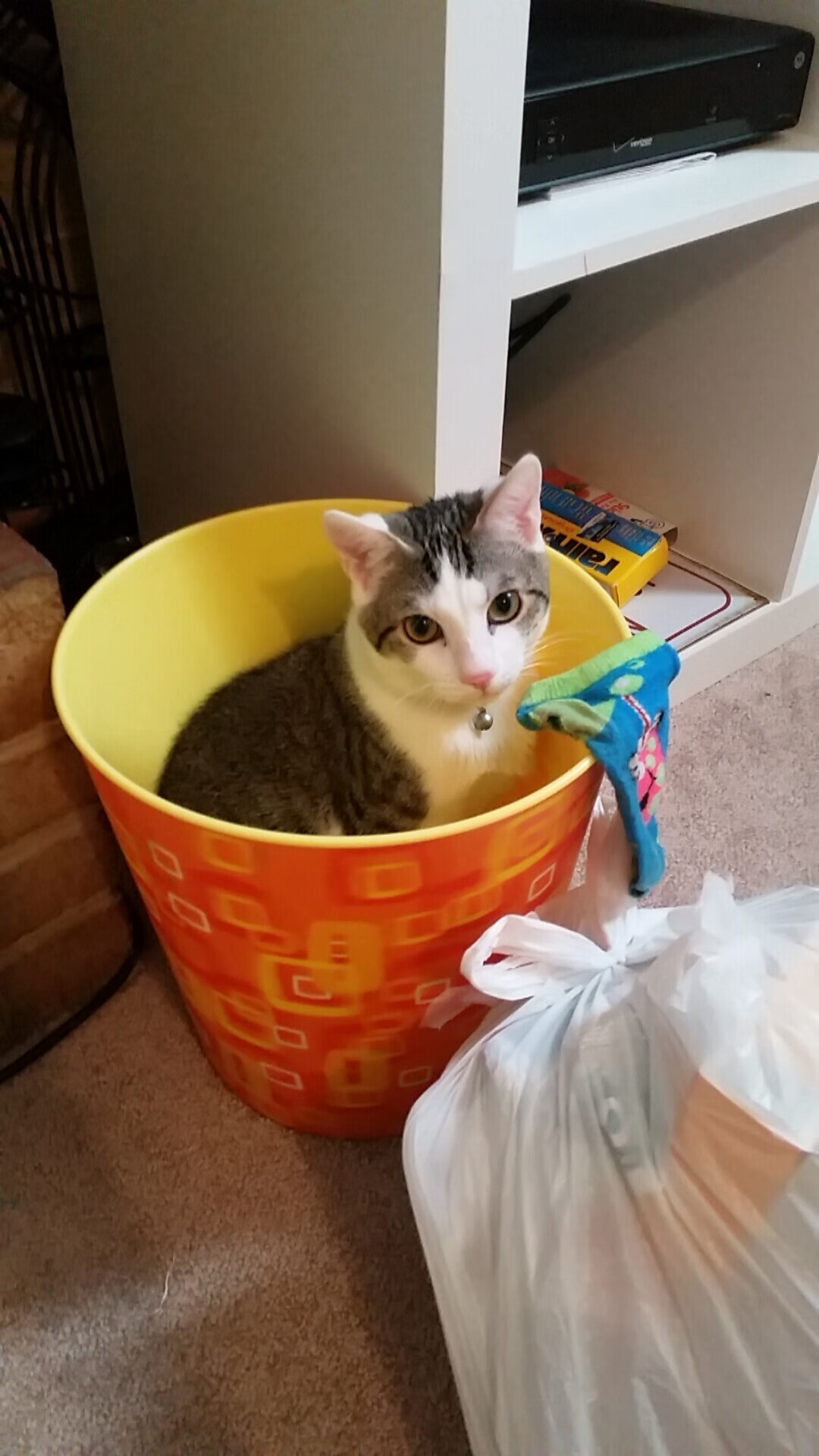 冬奥首次足球赛：塞内加尔以非洲速度征服寒地球场，塞内加尔 男足